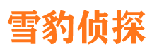 商都市侦探调查公司